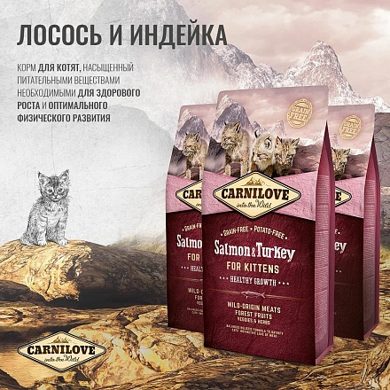 Carnilove Salmon & Turkey for KITTENS для котят с лососем и индейкой