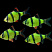 Флуоресцентные рыбки