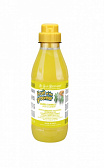 ISB FRUIT OF THE GROMMER GINGER&ELDERBERY ШАМПУНЬ ДЛЯ ЛЮБОГО ТИПА ШЕРСТИ ПРОТИВ РАЗДРАЖЕНИЙ И ПЕРХОТИ 500 МЛ