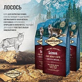 Carnilove Adult Sensitive для кошек c лососем