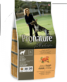 Pronature Holistic для взрослых собак: Утка с апельсином
